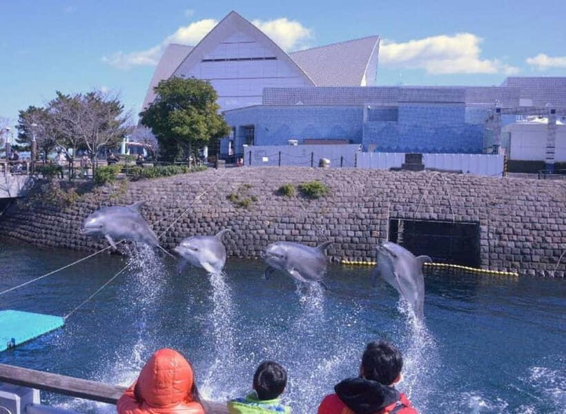 Kagoshima Aquarium Admission Ticket - Reef and deep-sea ecosystems: treat it like a depth journey