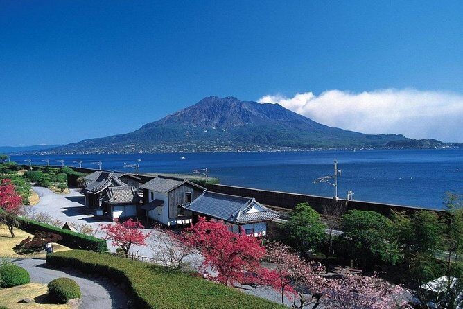 Kagoshima Full-Day Private Tour with Government-Licensed Guide - Key things to know before you go
