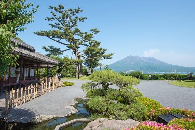 Kagoshima Full-Day Private Tour with Government-Licensed Guide - Shiroyama Park, Terukuni Shrine, and Saigo Takamori’s Statue