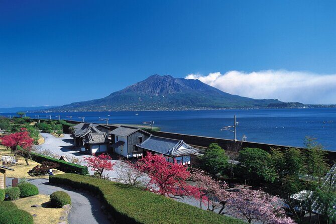 Kagoshima Highlights Private Tour, Sakurajima Volcano and more - Sakurajima Visitor Center, Nagisa Foot Bath, and the buried torii gate