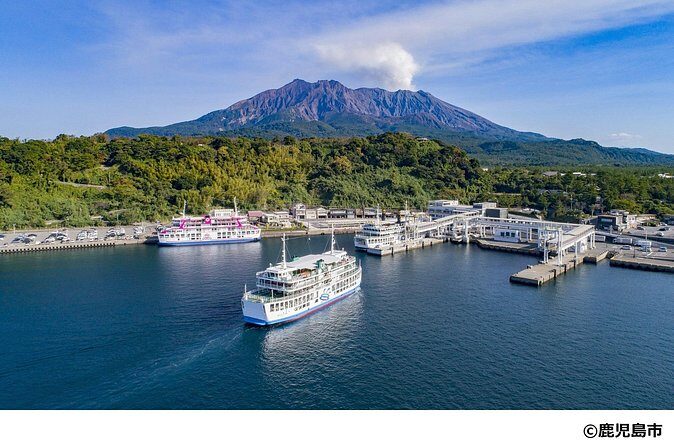 Kagoshima Nature and Food Culture Private Tour - How the private format works in practice (and what to expect)