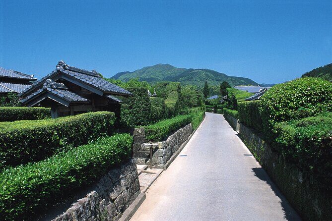 Kagoshima Private & Custom Tour with Licensed Guide and Vehicle - Private Kagoshima touring: what makes it work in real life