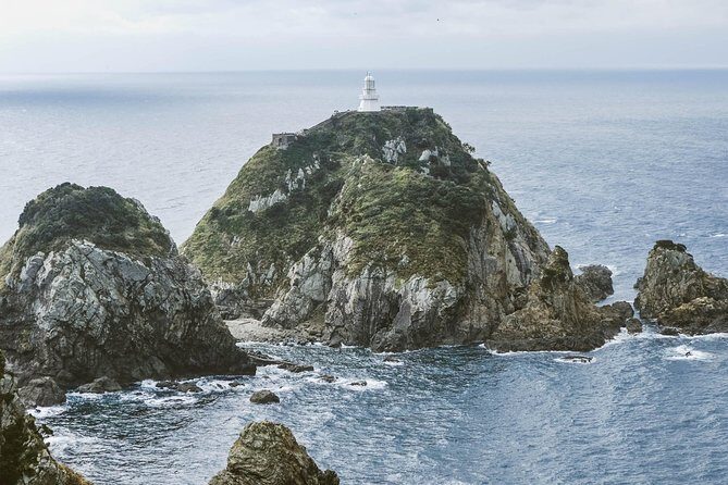 Kagoshima Private Customizable Half Day Tour - What 4 hours looks like, start-to-finish