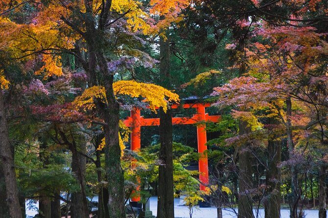Kagoshima Private Customizable Half Day Tour - The tour form: where your day gets built