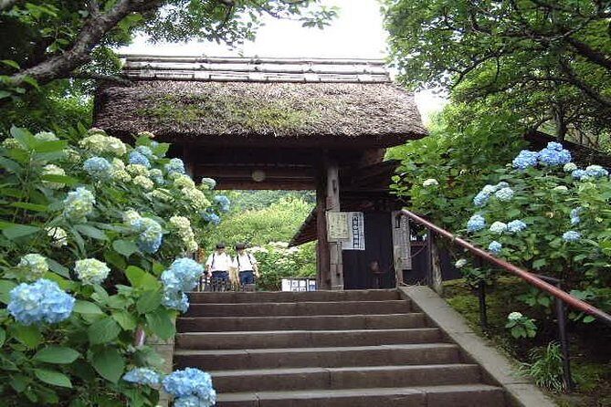 Kamakura 8 hr Private Walking Tour with Licensed Guide from Tokyo - Choosing Zen Temples: How Your Guide Shapes the Atmosphere
