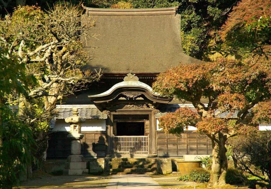Kamakura: A Journey Through Medieval Japan - Tsurugaoka Hachimangu: Downtown Shrine Power in a Walkable Core
