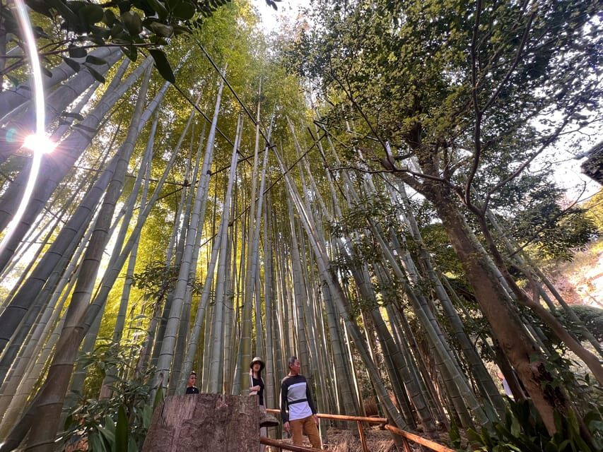 Kamakura and Enoshima: Private Guided Day Tour with Vehicle - Key highlights worth planning for