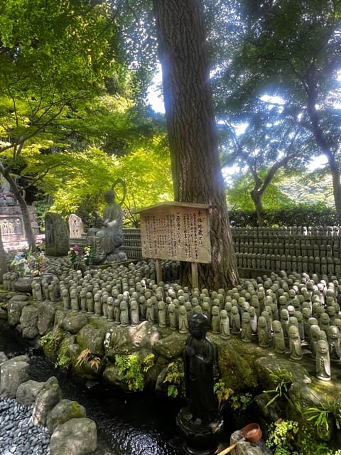 Kamakura and Enoshima: Private Guided Day Tour with Vehicle - Kōtoku-in and the Great Buddha: what to notice