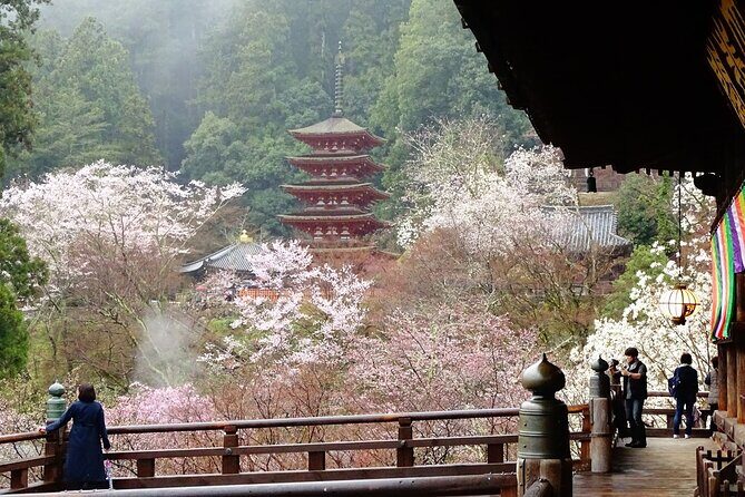 Kamakura and Yokohama Private Tour with Bilingual Chauffeur - Kotoku-in and the Great Buddha: the 13.35-meter stop you’ll remember
