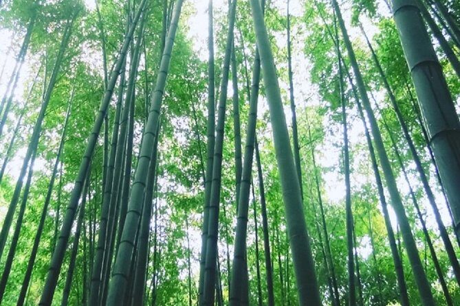 Kamakura Bamboo Forest and Great Buddha Private Tour - Tsurugaoka Hachimangu and Komachidori: The City-Center Pair
