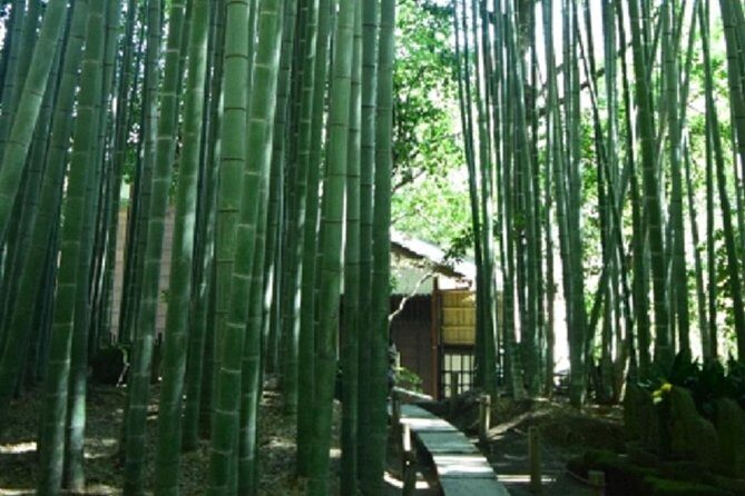 Kamakura Bamboo Forest and Great Buddha Private Tour - Guide Quality: When English Helps vs. When It Limits
