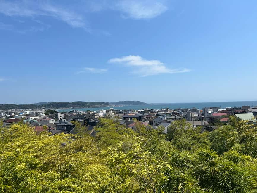 Kamakura & Enoshima: Great Buddha, Shrines and Ocean Views - Riding the historic Enoden: the coastal shortcut that’s also the experience