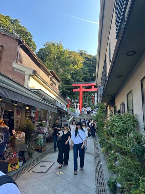Kamakura & Enoshima: Great Buddha, Shrines and Ocean Views - Starting at Tsurugaoka Hachimangu: samurai culture in a walkable setting