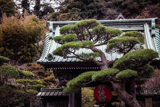 Kamakura Full-Day Private Tour from Tokyo (Customizable) - Key highlights that make this Kamakura day work
