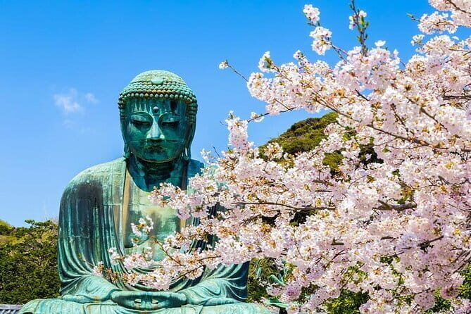 Kamakura Great Buddha and Enoshima with hotel Pickup small group - Key points to know before you go