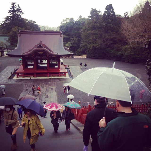 Kamakura: Great Buddha, Hase Temple, & Komachi Street Tour - Hokokuji Bamboo Forest: A Short Transfer With a Big Atmosphere Shift