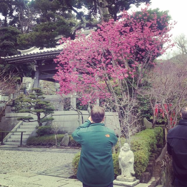 Kamakura: Great Buddha, Hase Temple, & Komachi Street Tour - Price and Value: What You’re Paying $530 For (and What You’ll Still Cover)
