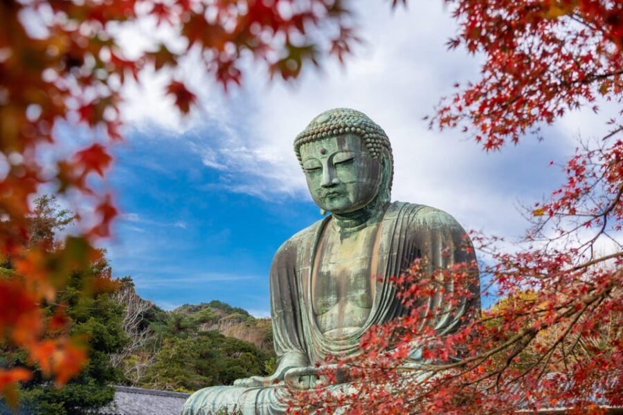Kamakura Half Day Tour with a Local Expert Guide - Tsurugaoka Hachimangu Shrine: Starting With the Heart of Kamakura