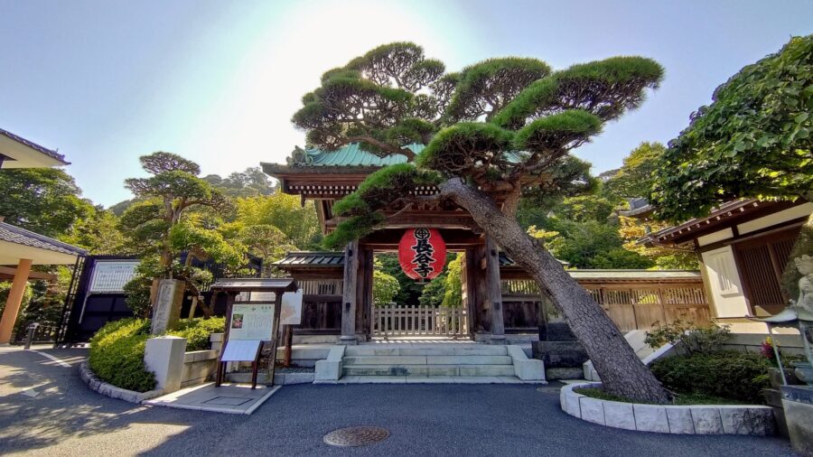 Kamakura Half Day Tour with a Local Expert Guide - Zen Temples, Gardens, and a Buddha Moment