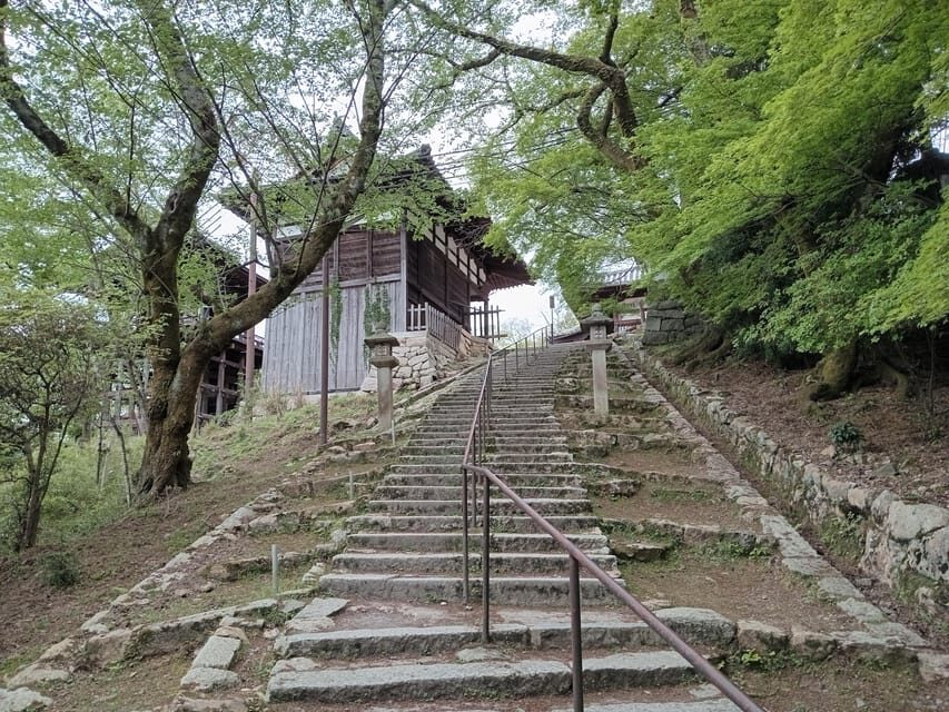 Kamakura Half Day Tour with a Local Expert Guide - Price and Value: What $87 Buys You (and What It Doesn’t)