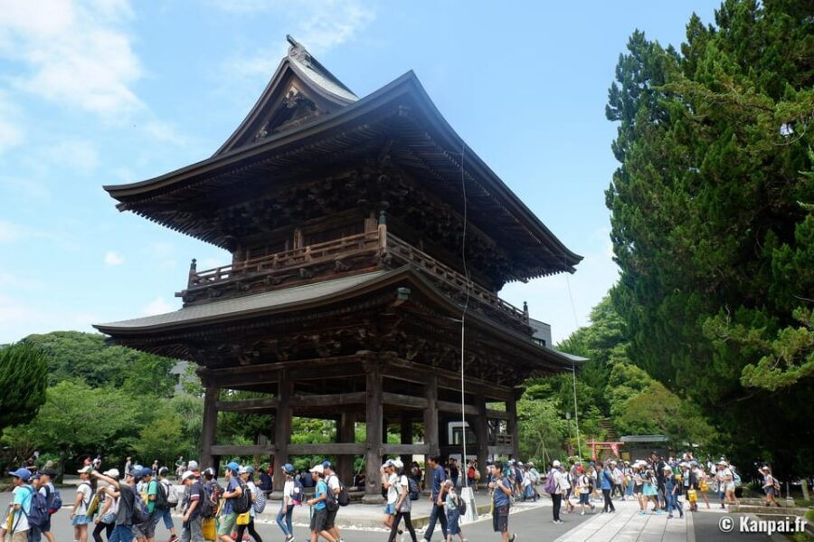 Kamakura Half Day Tour with a Local Expert Guide - Meeting Your Local Expert: Pickup From Tokyo or Kamakura, Without a Private Car