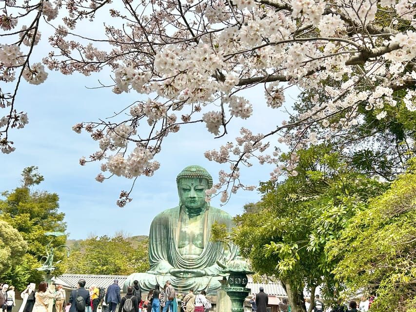 Kamakura: Half day Walking tour & Japanese sweets - Price and Value: What You’re Paying For at $64