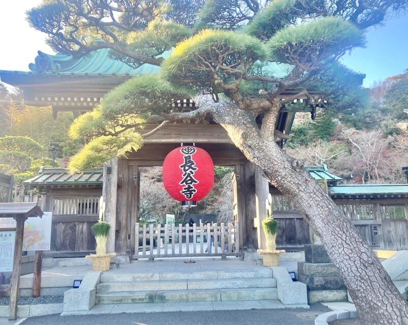 Kamakura: Half day Walking tour & Japanese sweets - Komachi-dori Tea Break: Nerikiri and Matcha in a Local Café