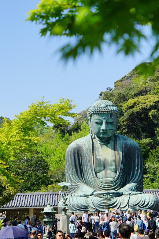 Kamakura Half Day Walking Tour with Local Experience - From Shinjuku to the Enoden coast: the rhythm of the half-day