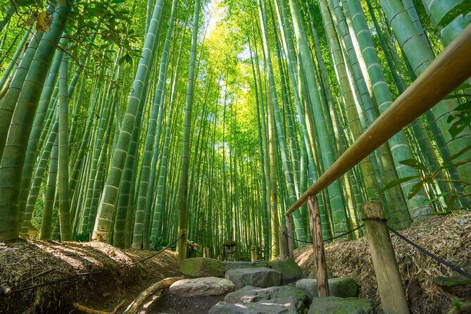 Kamakura Historical and Cultural Day Trip with Local Cuisine - Why Kamakura Works So Well as a Tokyo Day Trip