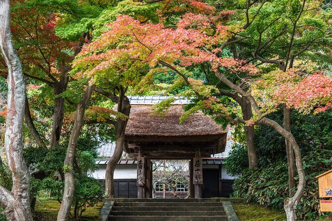Kamakura Historical and Cultural Day Trip with Local Cuisine - Shrine Stop 2: Tsurugaoka Hachimangu and the Minamoto Connection