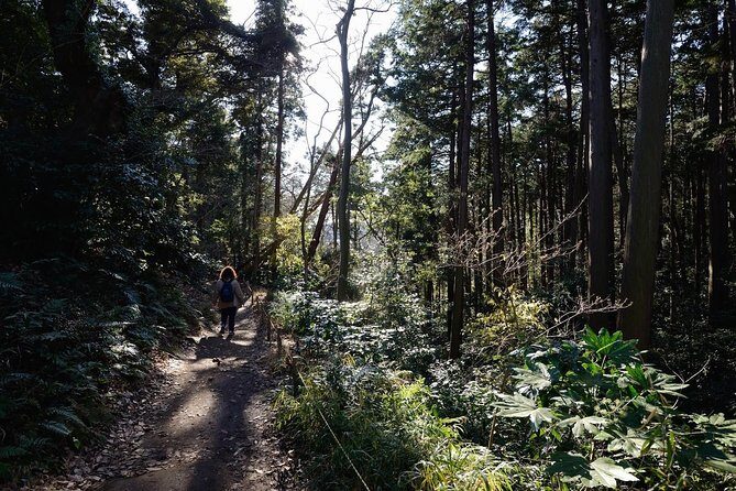 Kamakura One Day Hike Tour with Government-Licensed Guide - Kamakura in one day: why the hiking format works