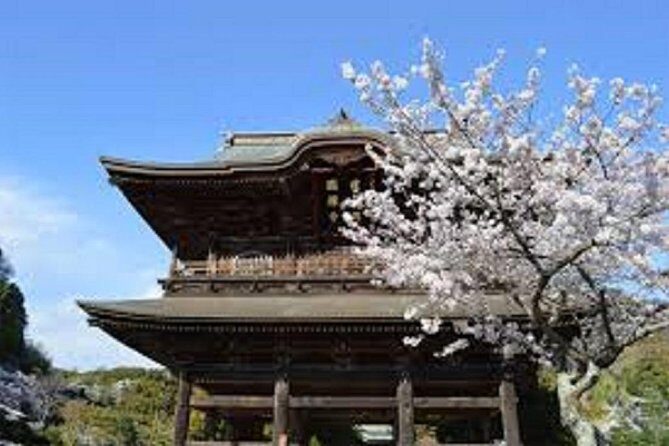Kamakura Private Custom Tour - Price and What You Truly Get for $149.58