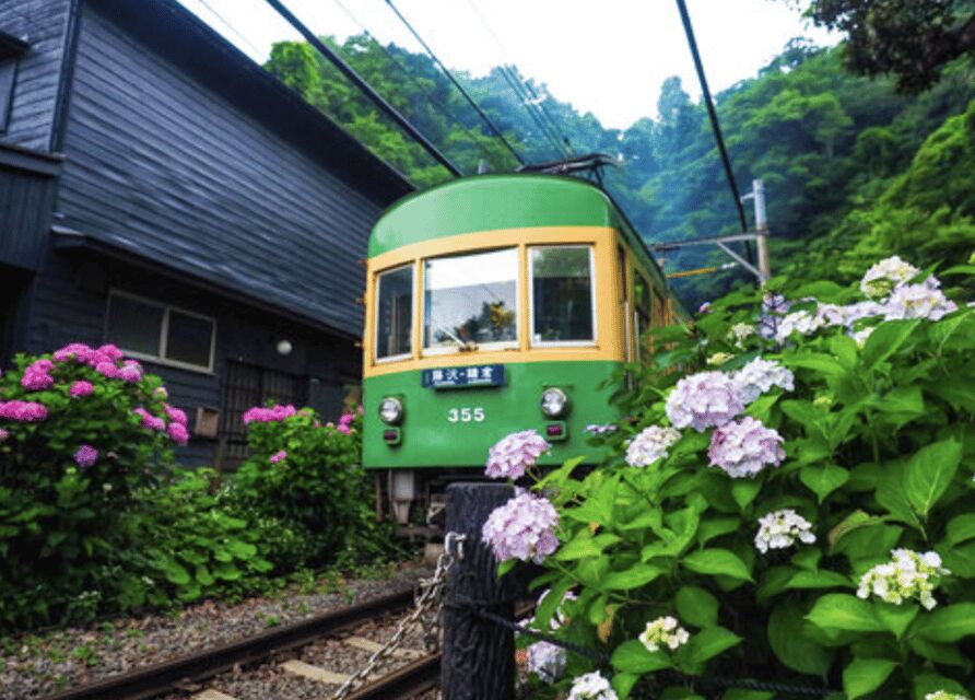 Kamakura Private Custom Tour with Local Guide - The Real Win: Hidden Corners and Ken-san’s Stories