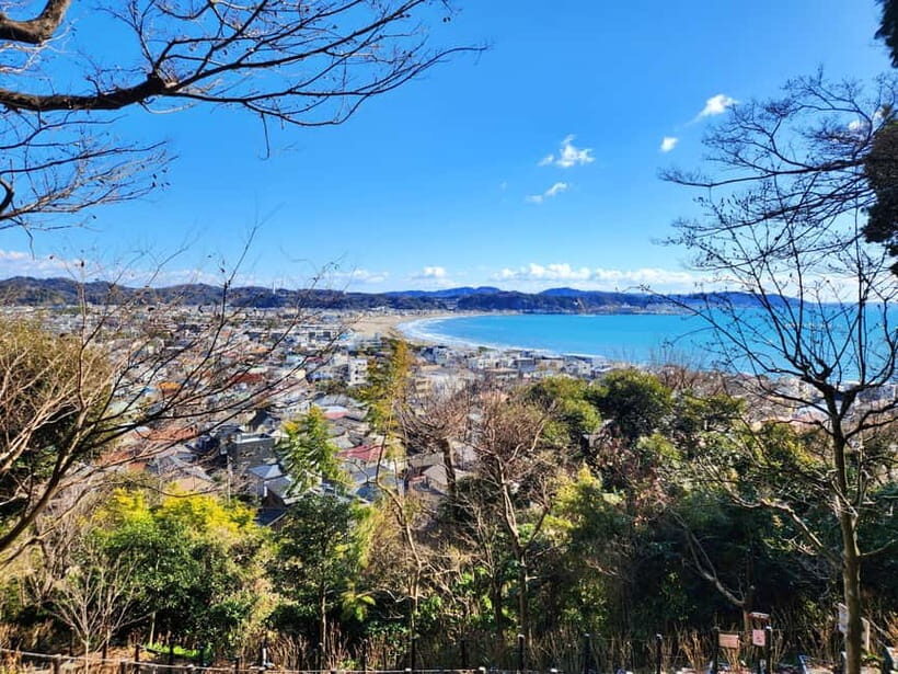 Kamakura Private & Customizable Tour - All-in-One Experience - Tsurugaoka Hachimangu: the shrine stop that ties the whole town together