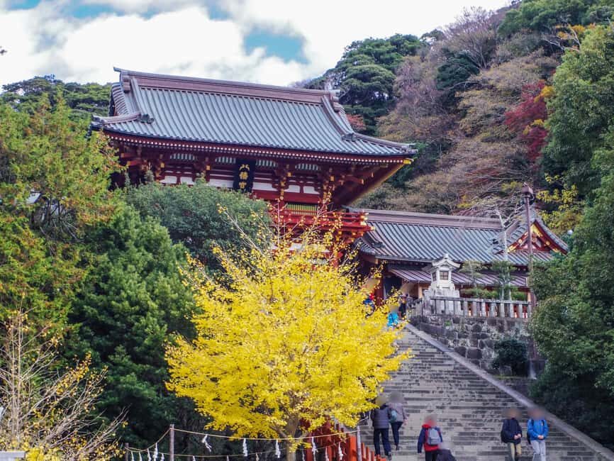 Kamakura Private & Customized Half-Day Tour with Local Guide - Starting at Kamakura Station: The pace that makes this half-day work