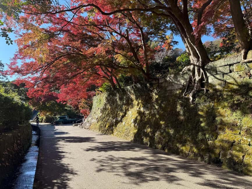 Kamakura Private & Customized Half-Day Tour with Local Guide - Sword shop visit: Craft history you can see with your own eyes