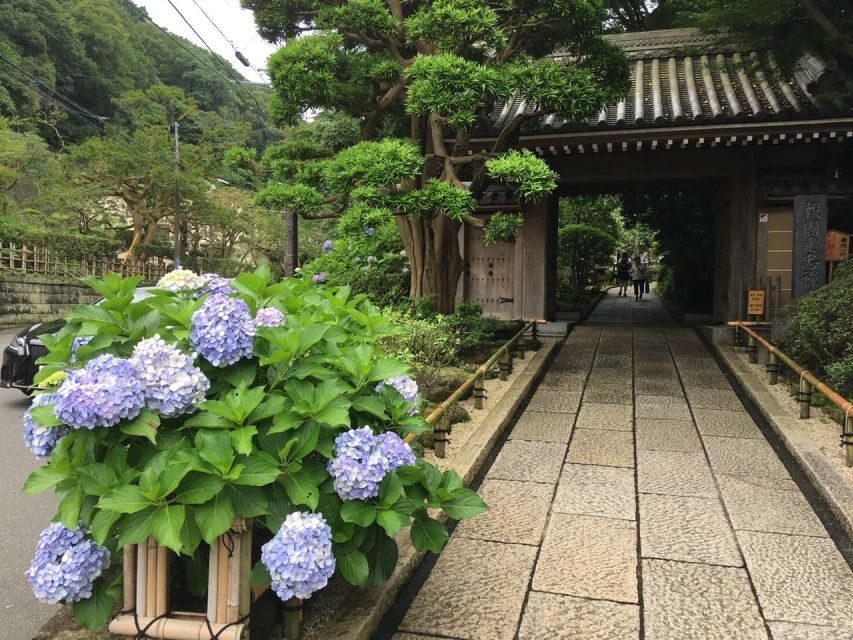 Kamakura: Private History and Heritage Tour by Rickshaw - Riding Straight Into Kamakura’s Samurai Capital Vibe