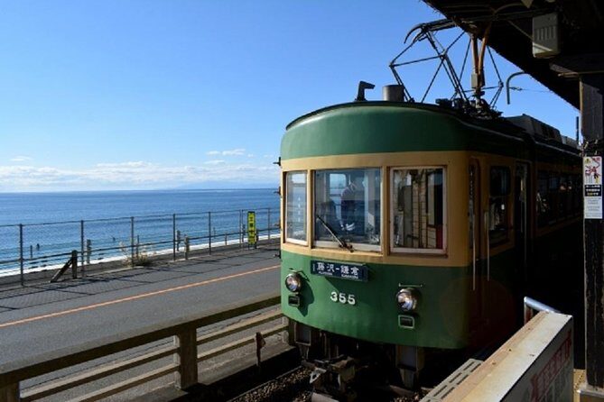 Kamakura Private Tour by Public Transportation - Hokoku-ji Bamboo Temple: cool shade and a quieter kind of wow