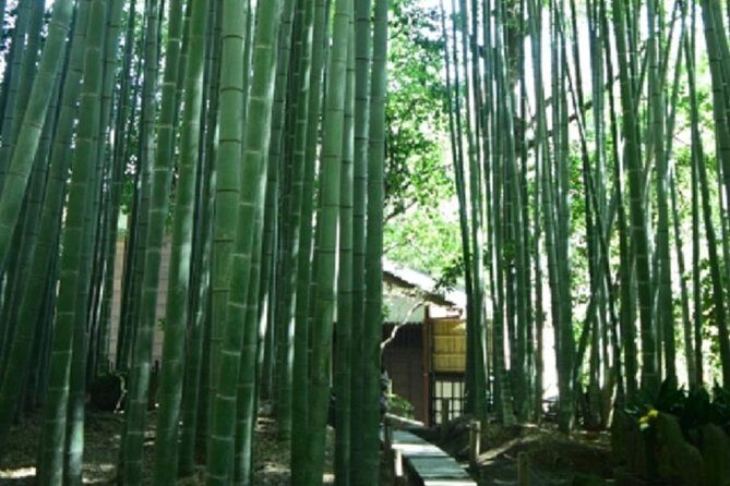 Kamakura Private Tour by Public Transportation - Komachidori street walk: a short break for snacks and small shops