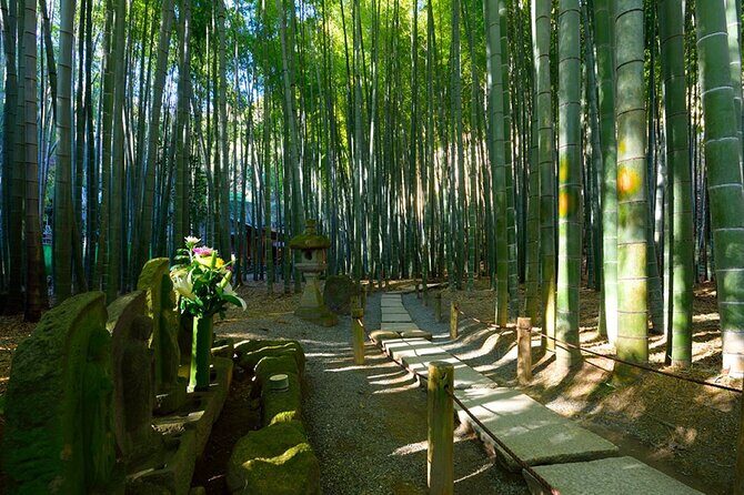 Kamakura Private Tour Great Buddha & Enoshima with English guide - Kotoku-in and the Great Buddha: The Included, Instant-Wow Moment