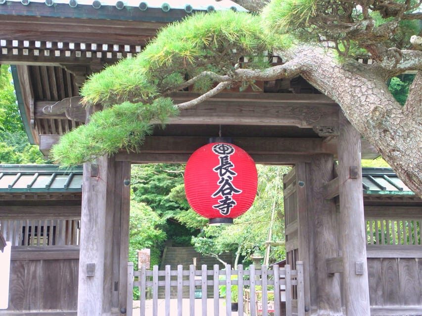 Kamakura Temples Private Guided Tour from Tokyo - Price and logistics: what you really pay for a smooth day