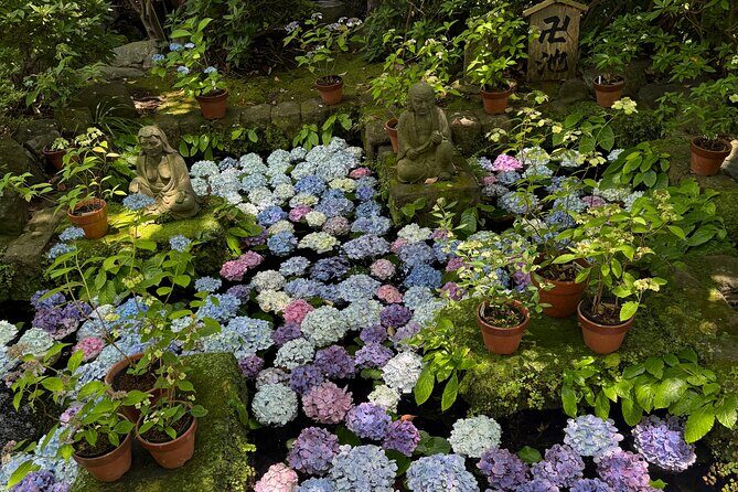 Kamakura Tours Half Day or Full Day Tours with a local guide. - Optional kimono rental during the tour (Kamakura Imakoji)