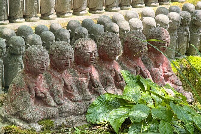 Kamakura Tours Half Day or Full Day Tours with a local guide. - What the day feels like: pacing, walking, and meeting point reality