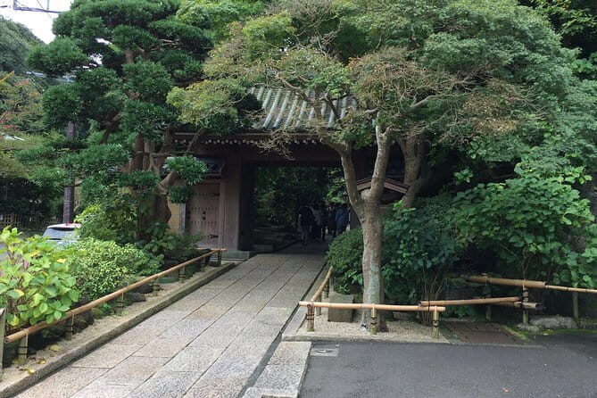Kamakura Walking Tour with Local Guide Including Hokokuji Temple - Key highlights to know before you book