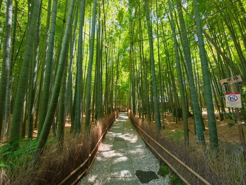 Kamakura Zen: Great Buddha, Nature, Bamboo & Samurai Culture - Kōtoku-in and the Great Buddha: your first big wow in 30 minutes