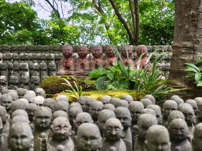 Kamakura Zen: Great Buddha, Nature, Bamboo & Samurai Culture - Price and what makes this $64, 4-hour tour feel like value