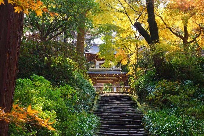 Kamakura Zen Temples and Gardens Private Trip with Government-Licensed Guide - Key things that make this tour worth your time