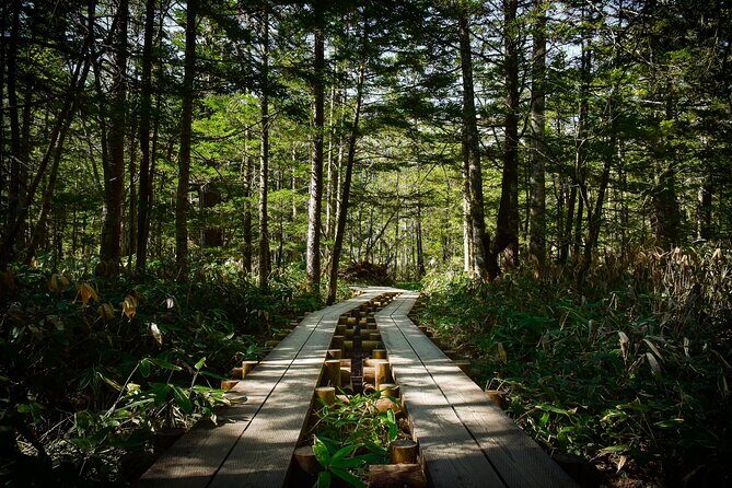 Kamikochi Private Summer Escape: Meet Wildlife in Pristine Nature - Wildlife Chances: How to Think Like a Spotter (Without Trying Too Hard)