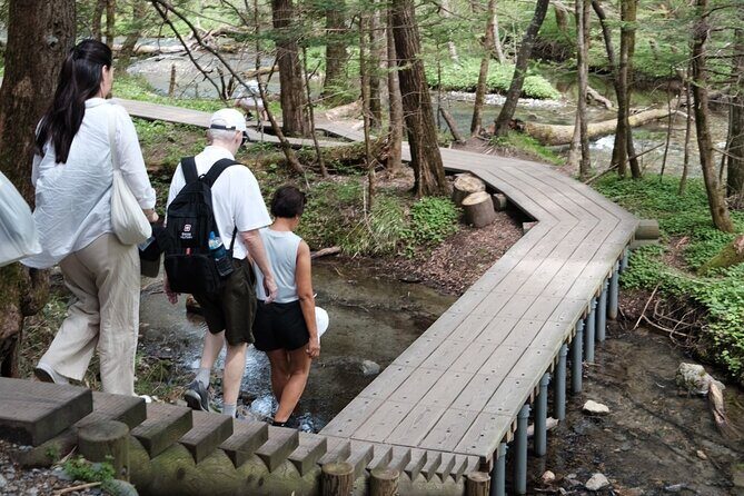 Kamikochi Private Summer Escape: Meet Wildlife in Pristine Nature - When Rain or Bad Weather Shows Up: Still Make the Day Work