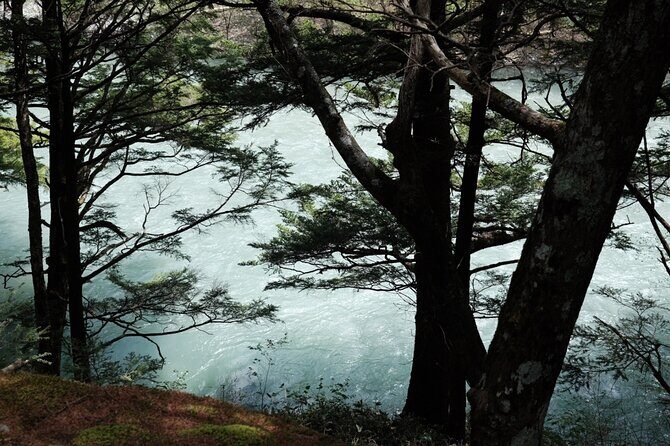 Kamikochi Private Summer Escape: Meet Wildlife in Pristine Nature - Photos Gifted After: A Small Extra That Adds Up